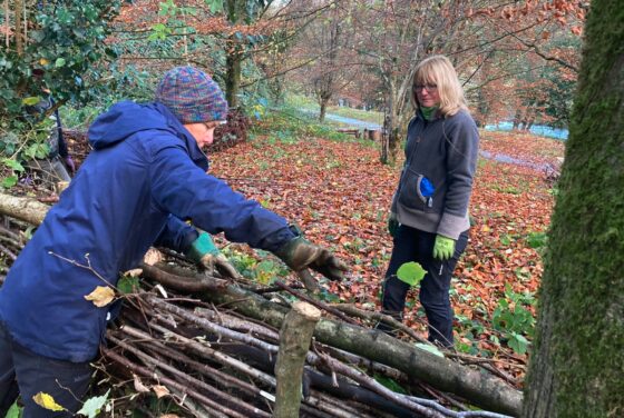 Heritage Crafts Taster: Introduction to creating dead hedges