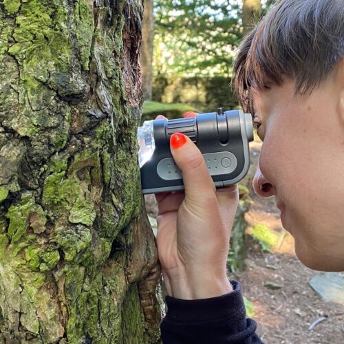 Close up photo of a white woman in profile looking through a lens directly onto tree bark