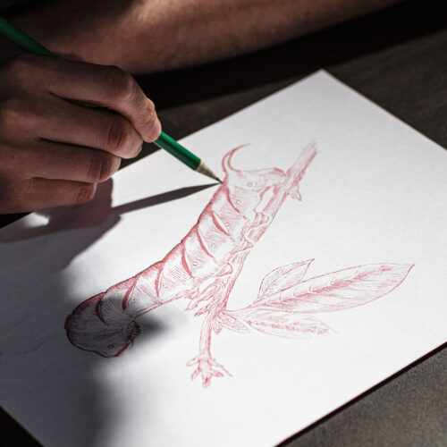 A hand drawing a large caterpillar on a twig in red on a piece of white paper